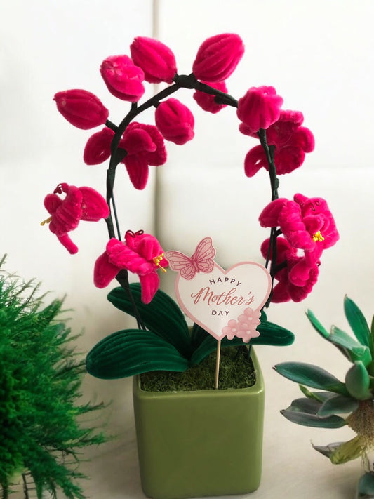 Pot de Orchidées 💐